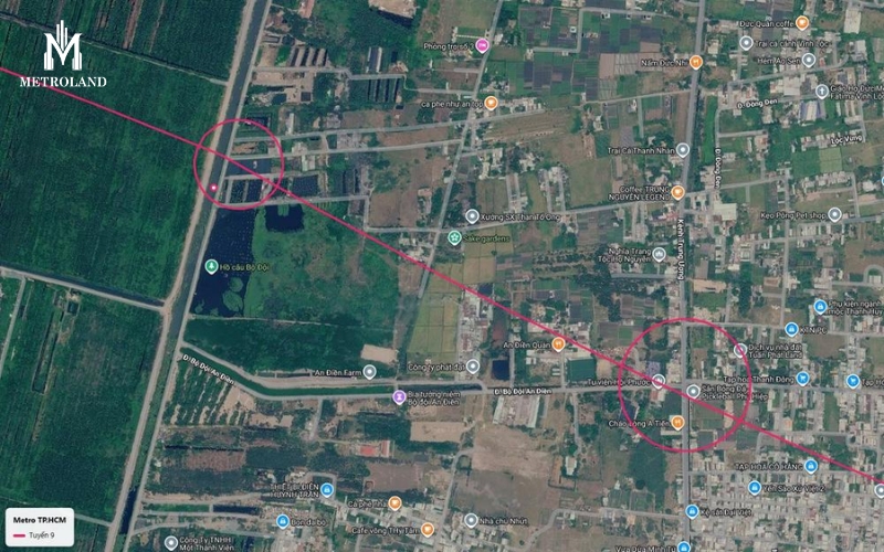 ruộng rau ao cá