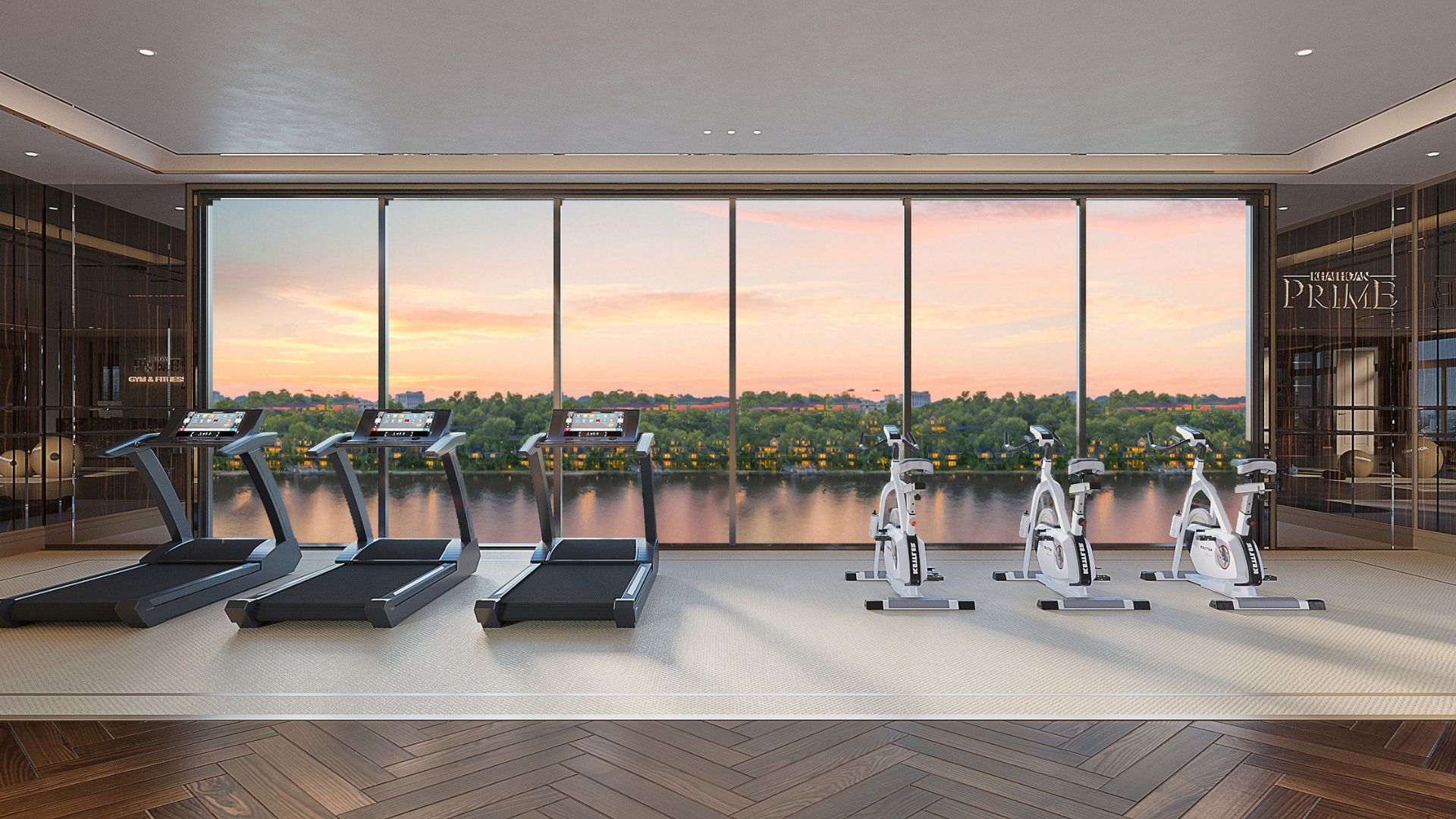 gym và fitness