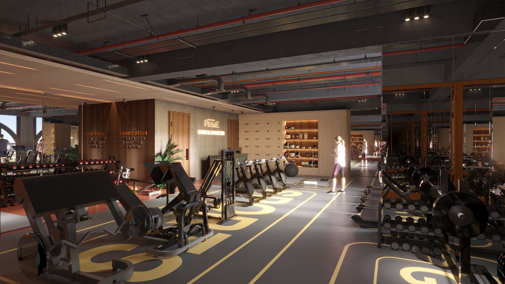 gym và fitness