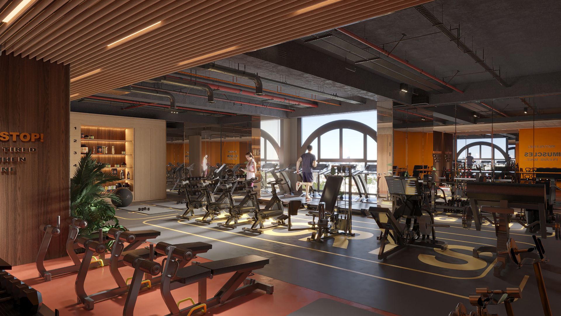 gym và fitness