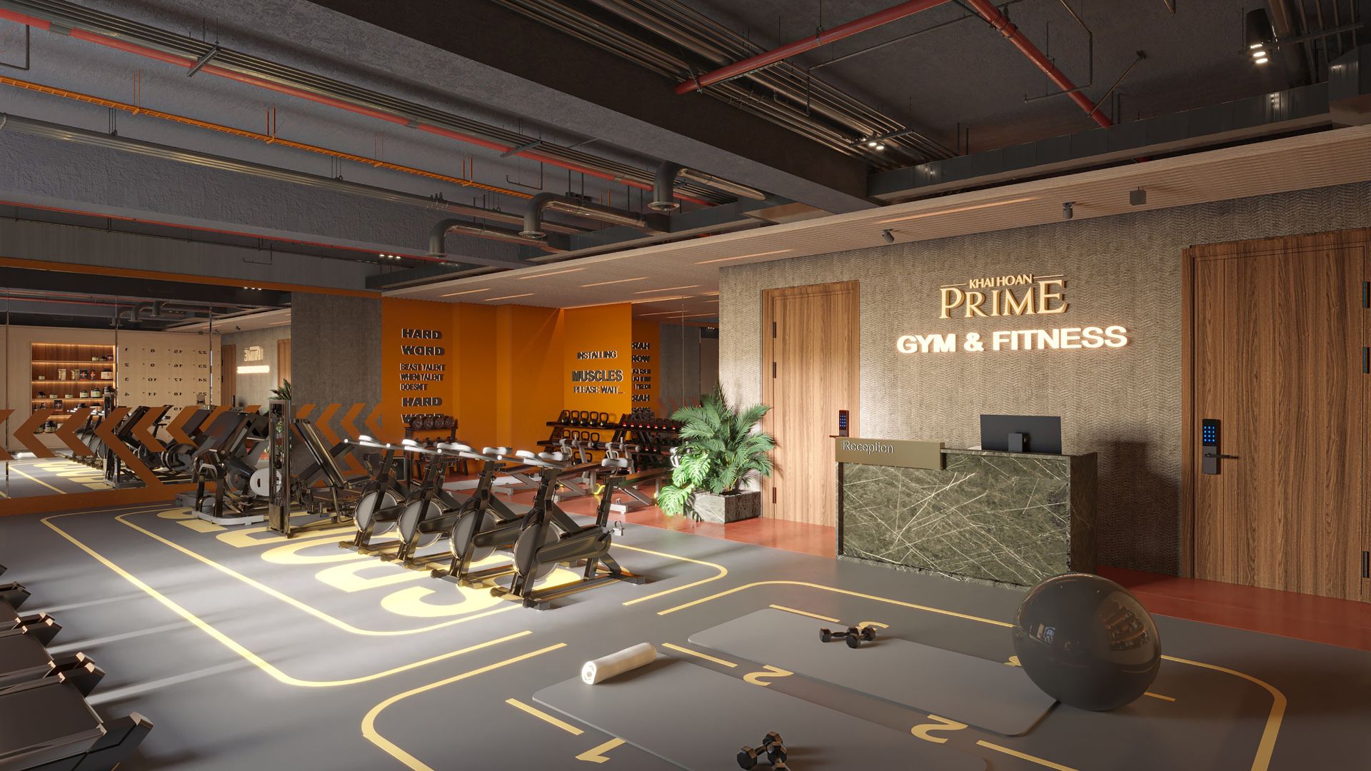 gym và fitness